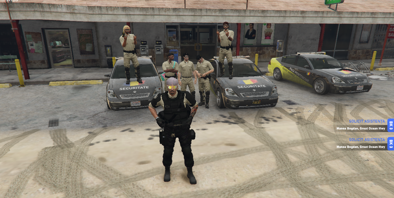 poza activitate #212