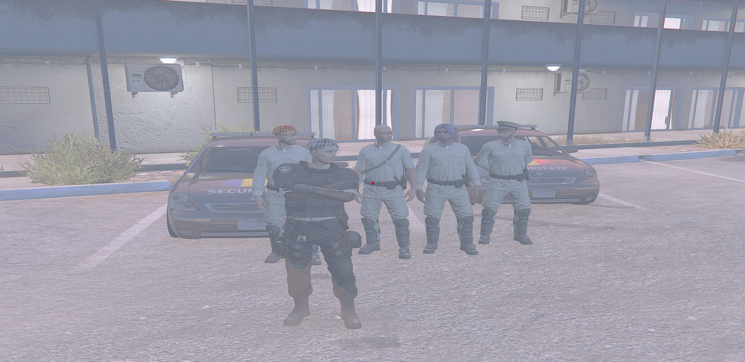 poza activitate #230